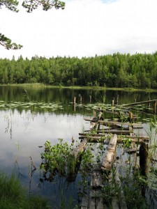 IMG_1872_s IMG_1872_s